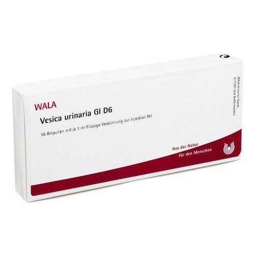 Vesica Urinaria GL D 6 Ampullen - 1