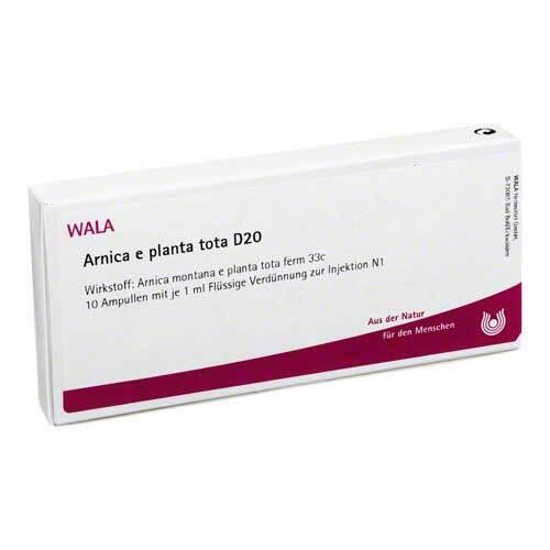 Arnica E Planta tota D 20 Ampullen - 1