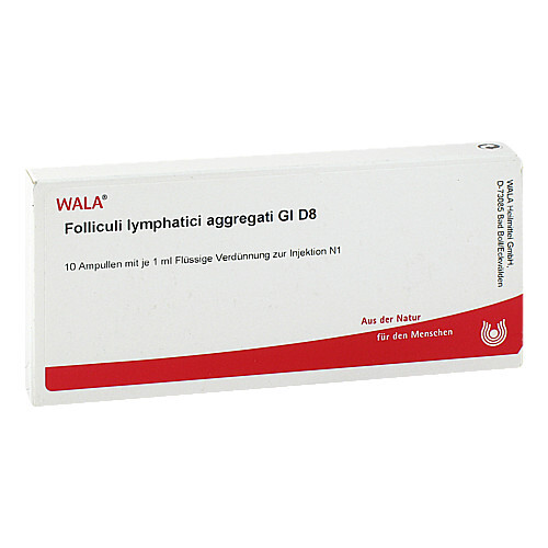 Folliculi lymphatici aggregati GL D 8 Ampullen - 1