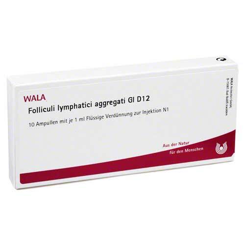 Folliculi lymphatici aggregati GL D 12 Ampullen - 1