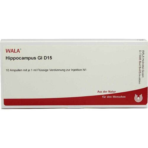 Hippocampus GL D 15 Ampullen - 1