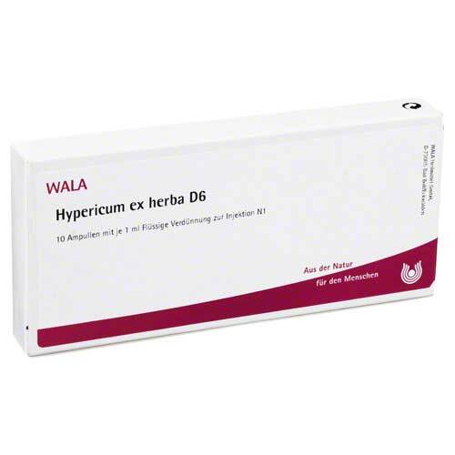 Hypericum ex Herba D 6 Ampullen - 1