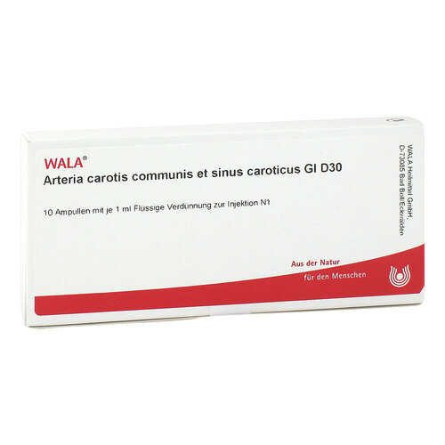 Arteria carotis communis et sinus caroticus GL D 30 Ampullen - 1