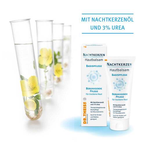 Dr. Theiss Nachtkerzen Hautbalsam - 6