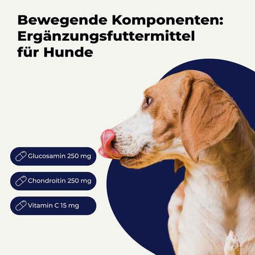 Glucosamin + Chondroitin Kapseln f&uuml;r Hunde - 2