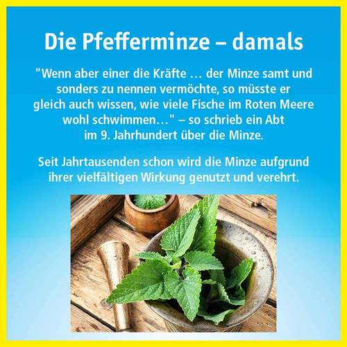 China Oel mit Inhalator - 3