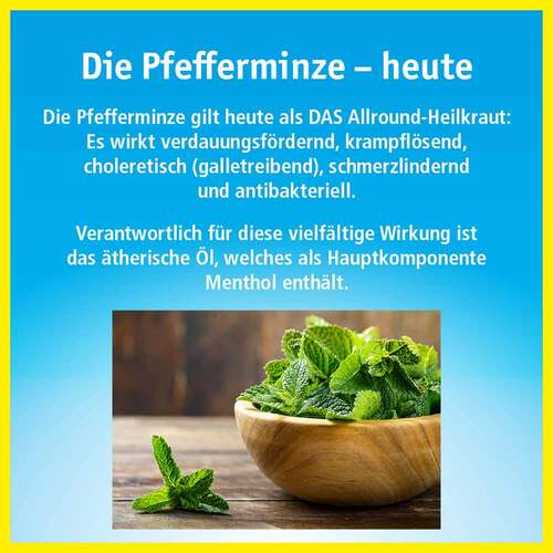 China Oel mit Inhalator - 4