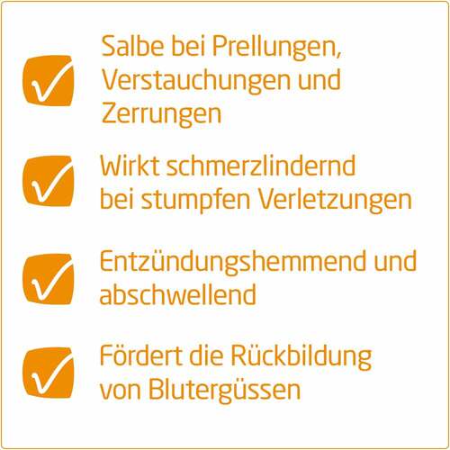 Arnika-Salbe 30% zur Behandlung stumpfer Verletzungen - 2