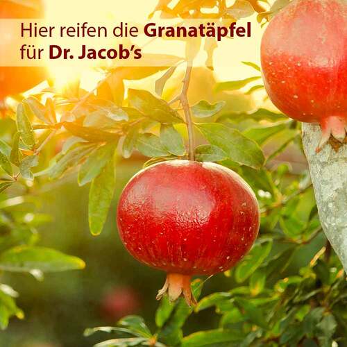 Granaprostan ferment Dr. Jacob`s Kapseln - 2