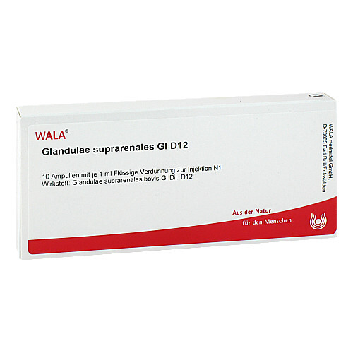 Glandulae suprarenalis GL D 12 Ampullen - 1