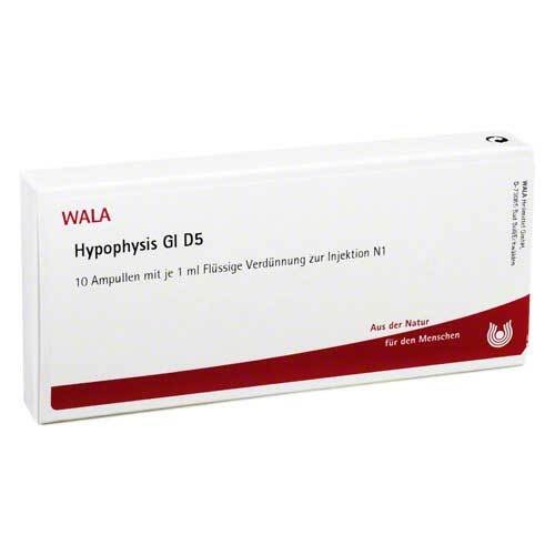 Hypophysis GL D 5 Ampullen - 1