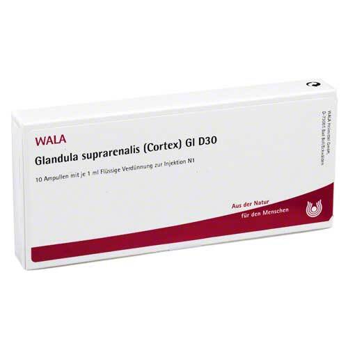 Glandula suprarenalis cortex GL D 30 Ampullen - 1