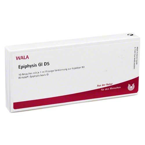 Epiphysis GL D 5 Ampullen - 1