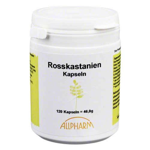 Rosskastanien Kapseln - 1