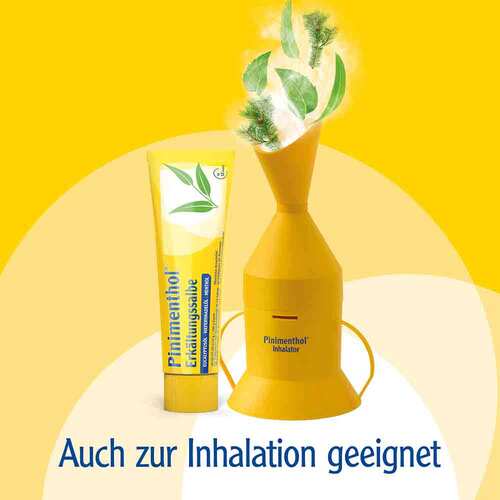 Pinimenthol® Erk&auml;ltungssalbe Eucalyptus&ouml;l Kiefernnadel&ouml;l Menthol - 7