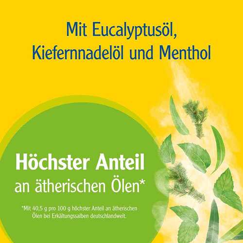 Pinimenthol® Erk&auml;ltungssalbe Eucalyptus&ouml;l Kiefernnadel&ouml;l Menthol - 3