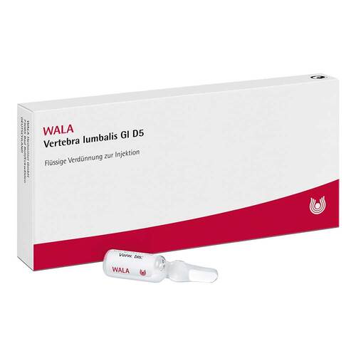 Vertebra Lumbalis GL D 5 Ampullen - 1