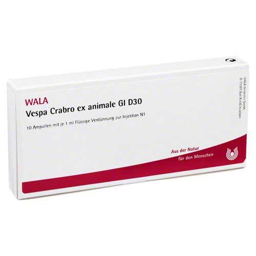 Vespa Crabro ex animale GL D 30 Ampullen - 1