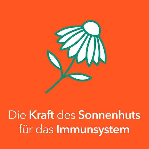 Echinacea-ratiopharm® 100 mg Tabletten - 4