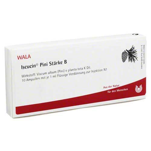 Iscucin Pini St.B Ampullen - 1