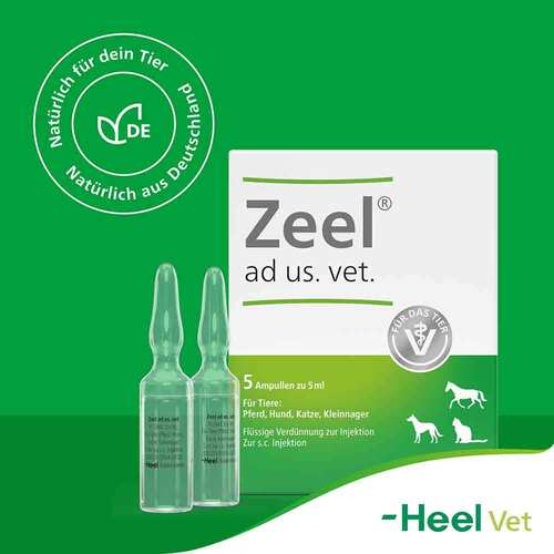 Zeel Ampullen vet. (f&uuml;r Tiere) - 8