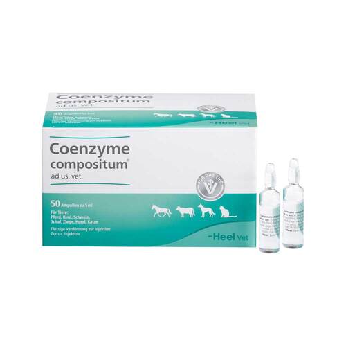 Coenzyme compositum® ad us. vet. Ampullen - 1