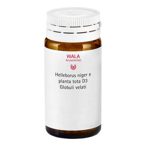 Helleborus Niger e planta tota D 3 Globuli - 1