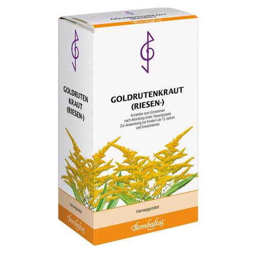 Goldrutenkraut Riesen Tee - 1