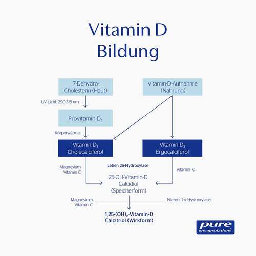 Pure Encapsulations Vitamin D3 Liquid - 8