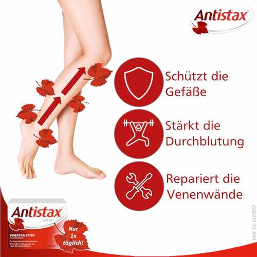 Antistax® extra Venentabletten bei Krampfadern - 4