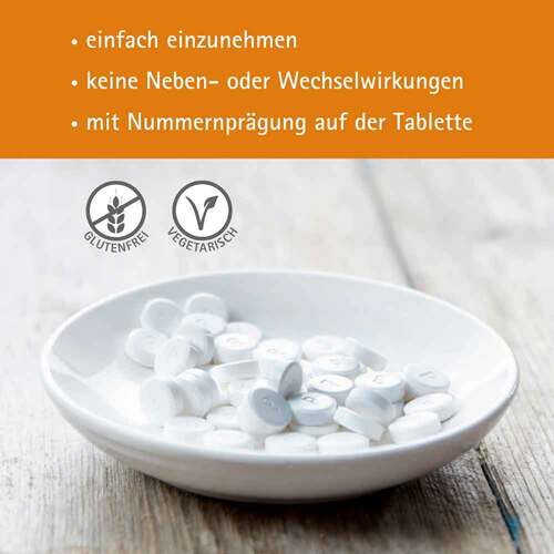 Biochemie Pfl&uuml;ger 4 Kalium chloratum D 6 Tabletten - 2
