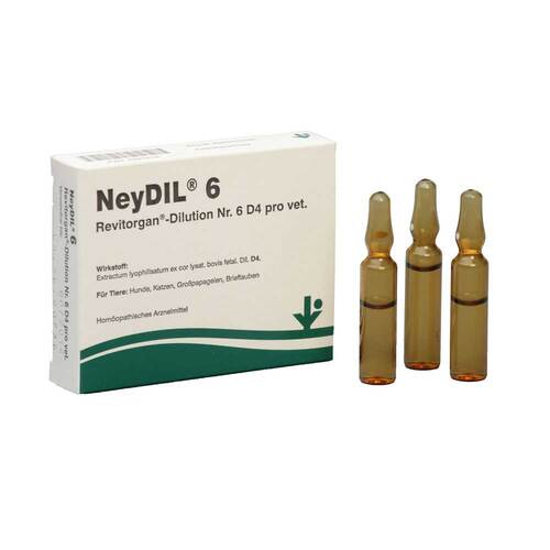 NeyDIL® Nr. 6 Revitorgan® D4 pro vet. Ampullen - 1