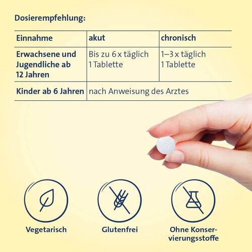 Vertigo Hevert SL Tabletten - 3
