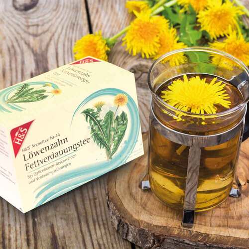 H&S L&ouml;wenzahn Filterbeutel - 3