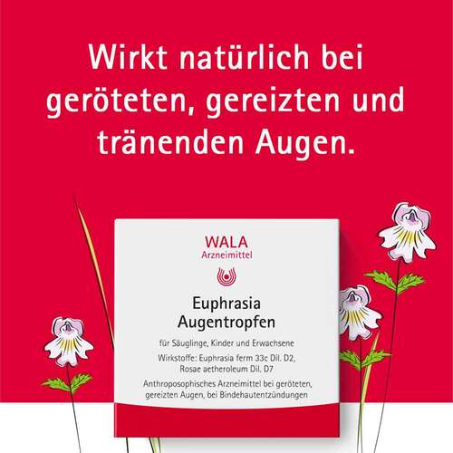 Euphrasia Augentropfen - 4