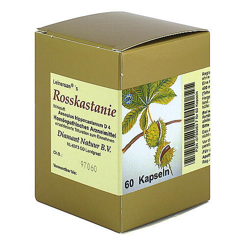Rosskastanie Kapseln - 1