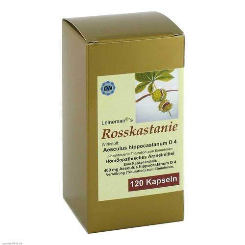 Rosskastanie Kapseln - 1