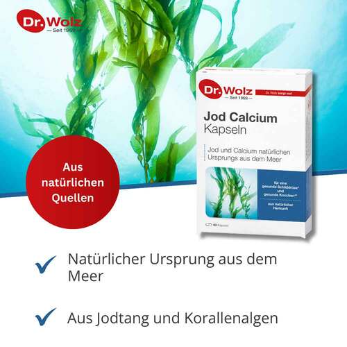 Jod Calcium Kapseln Dr. Wolz - 2