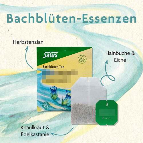 Bachbl&uuml;ten Tee Motivation &amp; Zuversicht Bio Salus - 2