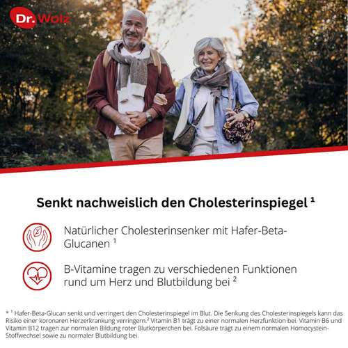 Cholesterinreduktion Dr. Wolz Pulver - 2
