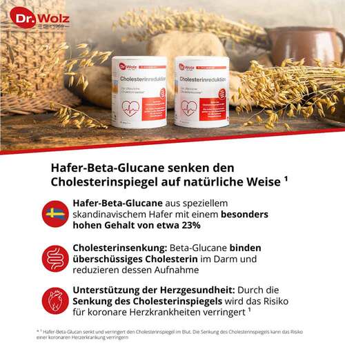 Cholesterinreduktion Dr. Wolz Pulver - 3
