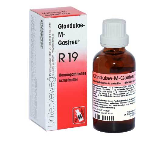 Glandulae M Gastreu R 19 Tropfen zum Einnehmen - 1