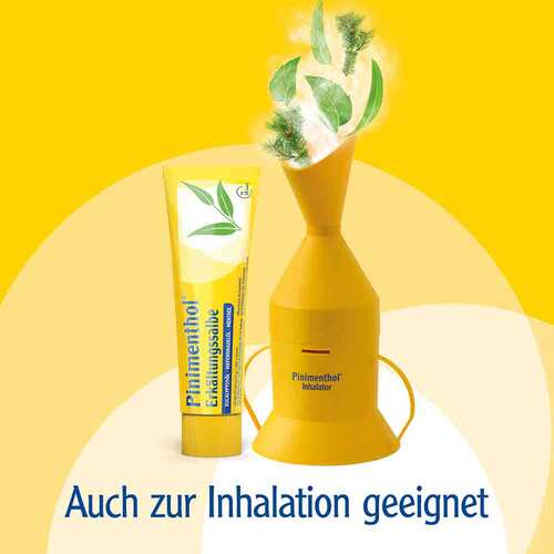 Pinimenthol® Erk&auml;ltungssalbe Eucalyptus&ouml;l Kiefernnadel&ouml;l Menthol - 7