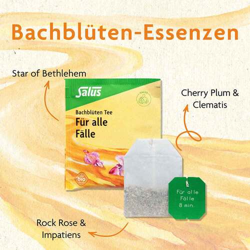 Bachbl&uuml;ten Tee F&uuml;r alle F&auml;lle bio Salus - 2