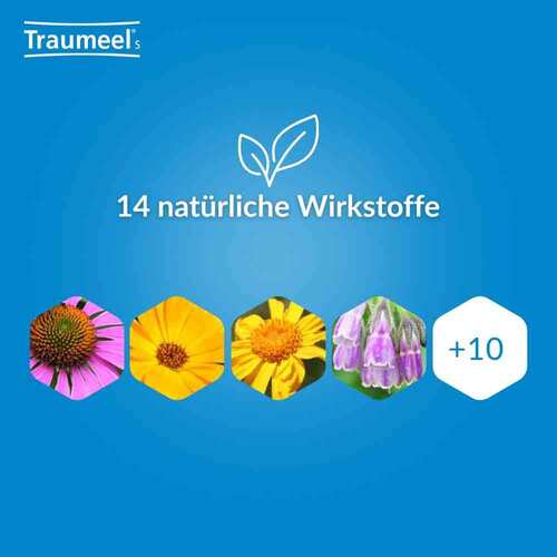 Traumeel S Creme - 5