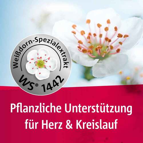 Crataegutt® 450 mg Herz-Kreislauf-Tabletten - 4