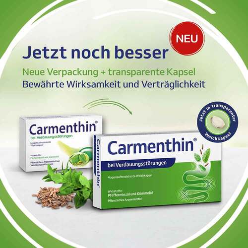 Carmenthin bei Verdauungsst&ouml;rungen  - 2