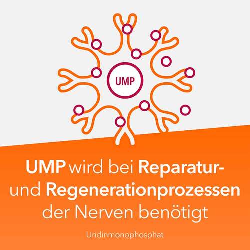 Neuropax-ratiopharm forte Kapseln - 4