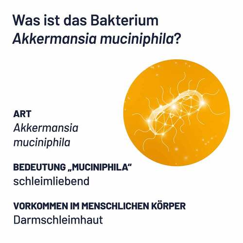 Probio-Cult AKK1 Akkermansia Syxyl Tabletten - 3