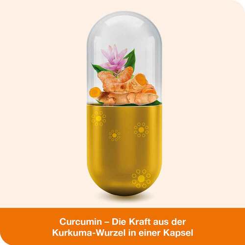 Curcumin-loges Kapseln  - 5